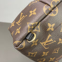 Sac à dos Palm Springs Mini en monogram - Louis Vuitton